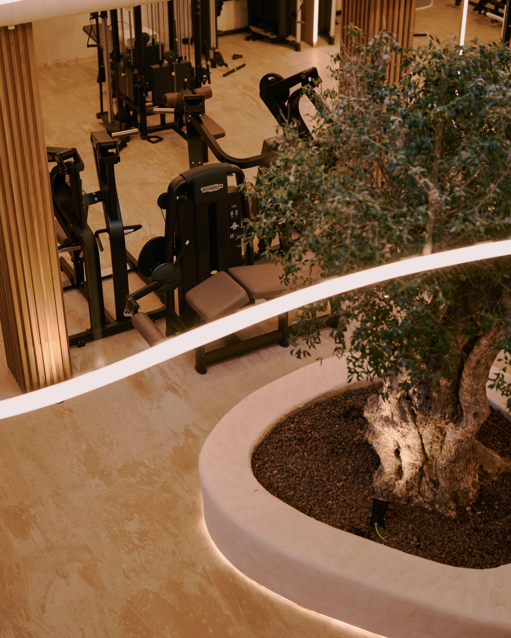 Indoor Gym